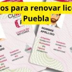 Requisitos para renovar licencia en Puebla