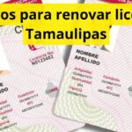 Requisitos para renovar licencia en Tamaulipas