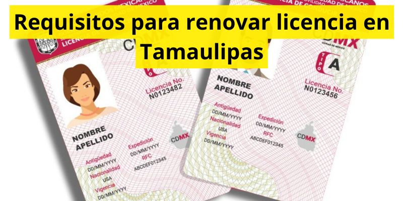 Requisitos para renovar licencia en Tamaulipas
