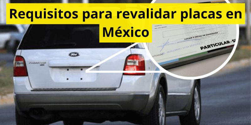 Requisitos para revalidar placas en México