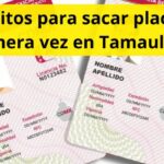 Requisitos para sacar placas por primera vez en Tamaulipas